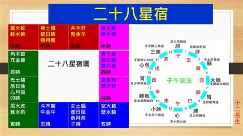 養胎意思|八字十二長生解讀——胎、養